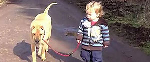 a boy, a dog and puddle, what could go wrong