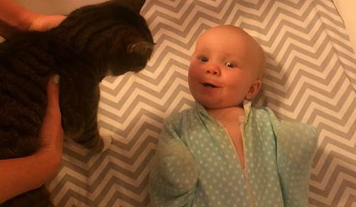 Baby Meets Cat And Loves It!