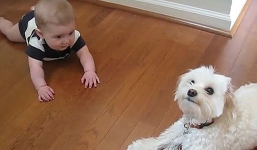 Rocco and Chopper Enjoy Spending Time Together